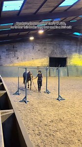 Spicy chestnut mare faces her fears at the desensitisation clinic