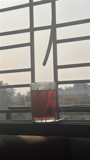 30 reactions | Old capital, timeless charm. Kolkata, you beauty! Exploring Kolkata — India’s oldest capital, where iconic heritage meets modern vibes. #kolkata #workandtravel #modern #heritage | Shishir Purohit | Facebook