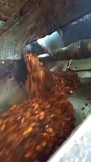 21K reactions · 176 shares | Every aspect of processing palm to add value is a profitable business that can stand on its own. With the right information, accessing and harvesting opportunities in the industry is high. #chinenyeezeonyebuchi | Chinenye Ezeonyebuchi | Facebook