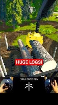 Big Logs On The Move! | Log Forwarding