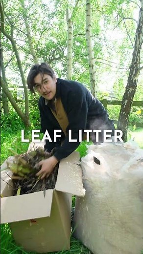 4 Substrates For Mushroom Grow Bed | Mushroom Growing