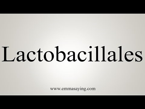 How To Say Lactobacillales