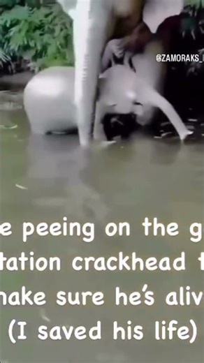 Always have to check on them #funny #youtubeshorts #meme #fyp