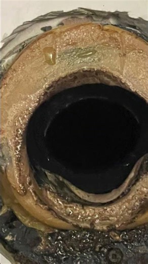 Installing a Fresh Waterline Upgrade