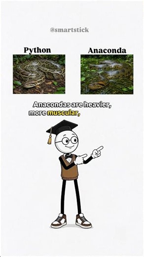 Python vs Anaconda: What's the Difference?#englishlearning #learning #knowledge #englishtips #shorts