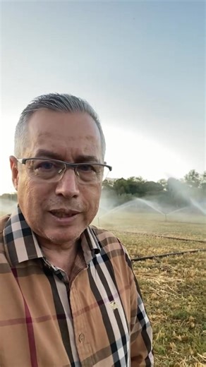 Alfalfa asociada con avena con aplicación de microorganismos benéficos Información: 52 462 373 5759 | Directo al Campo