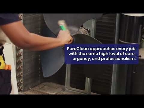 Restoring Peace of Mind Water Damage Restoration in Tucson with PuroClean of Southeast Tucson