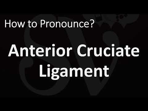 How to Pronounce Anterior Cruciate Ligament? (CORRECTLY)