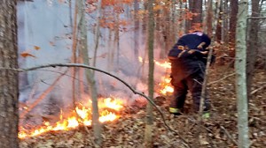 Fire crews on the scene of 8-acre brush fire in Calvert County, Md.