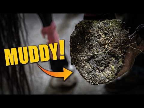 This Mud-Covered Hoof Had a Hidden Problem