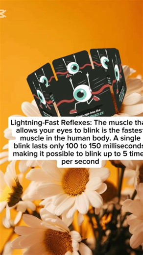 3 Fascinating Facts About the Human Eye
