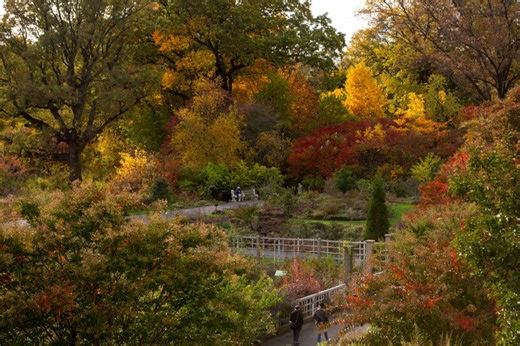 Celebrate autumn in style at Brooklyn Botanic Garden’s Fall Harvest Festival