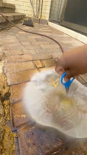 SATISFYING Duck EXPLODES #satisfying #cute