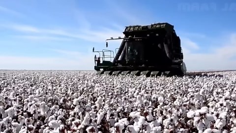 The Cotton Industry:How Cotton is Manufactured in Massive Quantities
