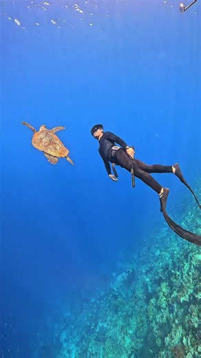 Nature's Generosity: A Reflection on Human Impact