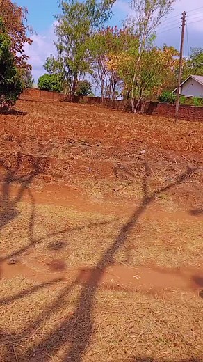 Exploring Traditional Malawian Culture in Rural Settings