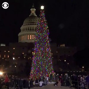 214K views · 6K reactions | CAPITOL TREE LIGHTING: 5th grader Michael Mavris, an essay winner from California, helped House Speaker Nancy Pelosi light the U.S. Capitol Christmas Tree on Wednesday. The 84-foot white fir is from the Six Rivers National Forest in California. | CBS News | Facebook
