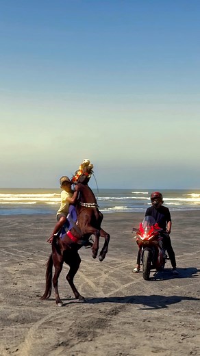 Horse Power 🔋💥 #horse #power #hilights #view #vairal | Shakibul Hasan