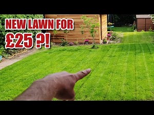 Making a NEW LAWN from scratch