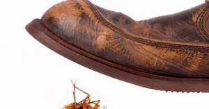 Guy brutally burns ESPN after they ask permission to use his tweet photo, becomes instant hero