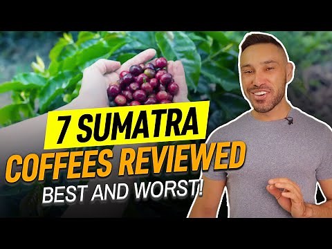 7 Sumatra Coffees Reviewed (Best and Worst!)