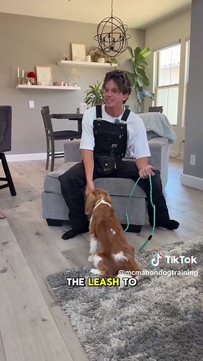 How to Train a Reliable Dog Recall: The Hand Touch & Leash Method