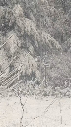 Juliette Besson | 🌬 Solstice d’hiver ❄️🕯 (oui oui j’ai quelques jours de retard sur le post...🤫) Une page blanche est tombée La fin d’un chapitre, d’une... | Instagram