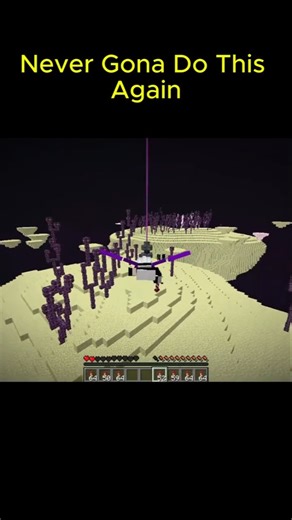 Never Gona Do This Again...[Elytra]