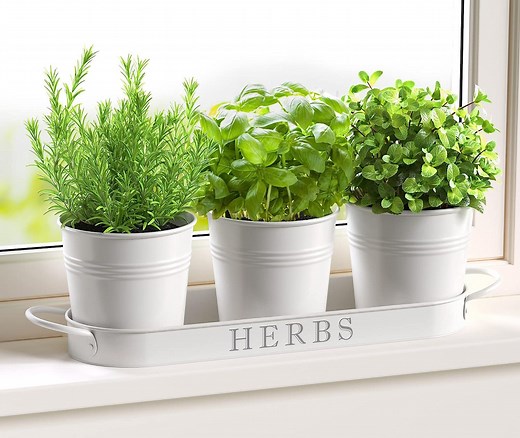We Found the Cutest Planters and Flower Pots (All Under $25!) at Amazon and Walmart