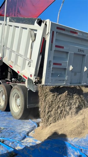 Base has officially arrived here in Boynton Beach, and we’re ready to lock in and knock this turf installation out with precision. ✨💥 Luxury finish, seamless lines, and that signature ATG touch — let’s get it. @thepalmguyfl @trilogypropertymanagementfl #lockedin #saturday #luxurylandscape #turftransformation #artificialturf #turfgrass #lowmaintenance | Artificial Turf Guy FL