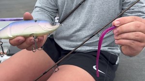 1-Minute Angler: Advantages of versatility with Hargrove - Bassmaster