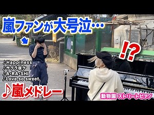 【感動】嵐ファンの飼育員さん号泣😭⁉️✨即興ピアノで『嵐神曲メドレー』をプレゼントしたら…【羽村動物園ストリートピアノ】A・RA・SHI/Happiness/サクラ咲ケ/Love so sweet