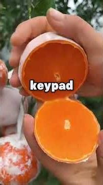 I Finally Launched My Own Company After Years Of Saving And Invited My Entire...