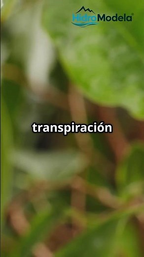 🔍 De la EVAPORACIÓN a la ET0 REAL 💧