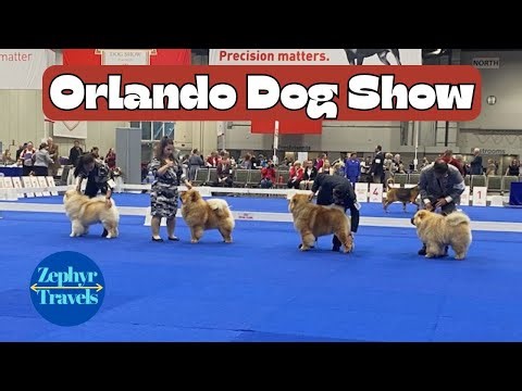 Attending the Orlando Royal Canin Space Coast Dog Show | RV Travel
