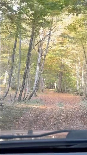 Balade 4x4 en Pleine Forêt : Les Couleurs d’Automne 🍁🚙