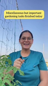 32K views · 756 reactions | Miscellaneous gardening tasks | Mud and Colors | Facebook