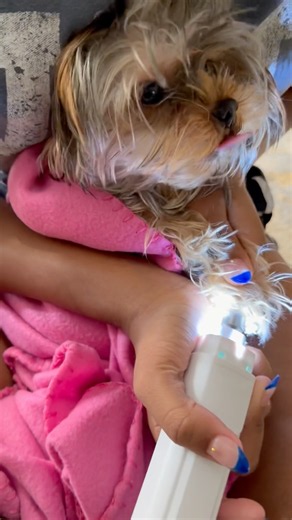 Discover the Ultimate Nail Grinder for Tiny Paws! 🐾 | Best Tools for Small Pets"