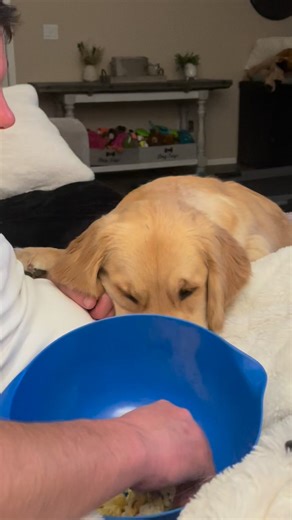 328K views · 14K reactions | Kisses for popcorn  | Comet Olsen | Facebook