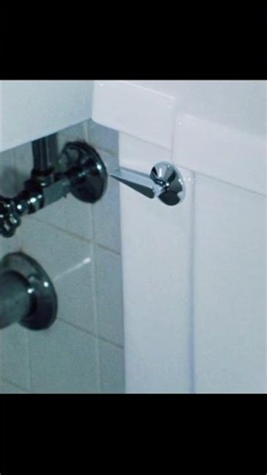 Did you know 2: toilet edition