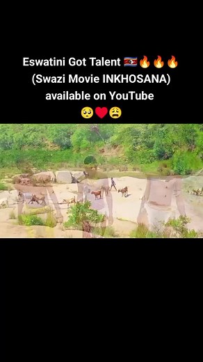 Swazi Movie INKHOSANA episode 6 available on YouTube 🇸🇿🔥🔥🎬🥺♥️🙏