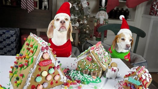 Gingerbread village built by dogs gets ruined