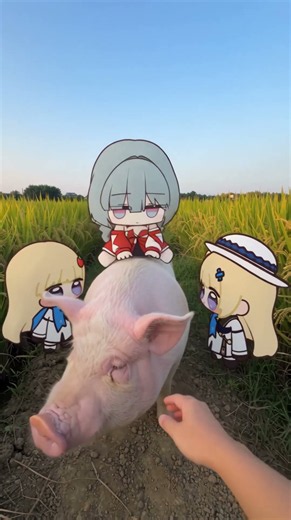 I prepared a big Mid-Autumn Festival dinner for Phoebe #nuonuo #chibi #fypシ #funny #foryou #cute #wu