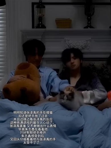 天呐 我感觉你们两有点暧昧了😕#棍宝 #志禹 #张泽禹 #朱志鑫 #纪录片