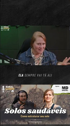 Quais fatores na formação do solo