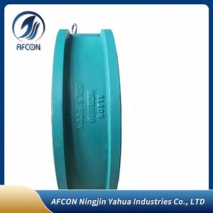 [Hot Item] Double Window Wafer Type Dual Plate Check Valve for Marine and Industry Premium