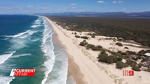 28K views · 112 reactions | "It's like a ghost town..." The island paradise residents call "Jurassic Park". Tonight on A Current Affair. #9ACA | A Current Affair | Facebook