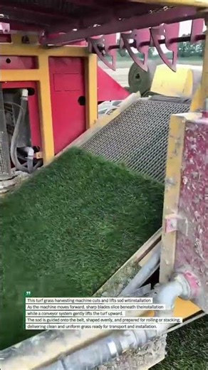 Automatic Turf Grass Harvester Cuts Perfect Sod Rolls #Farming #Agriculture #Machinery