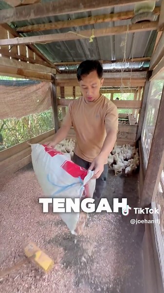 Smiley Face Emoji Explained