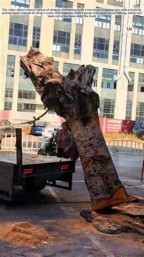 Advice for manual wood loading and unloading